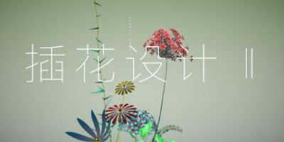 插花设计Ⅱ/插花设计2/Flower Design Two|
